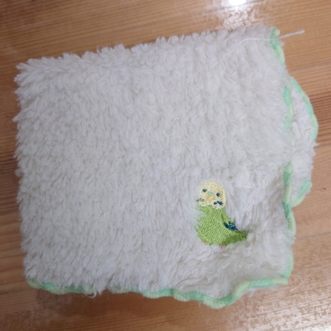 お忘れ物の写真